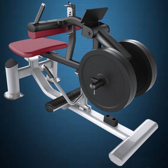 Seated Calf Machine