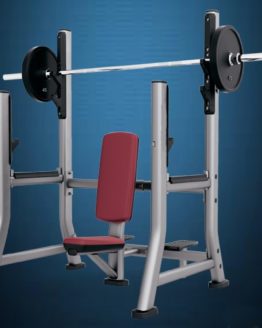 Shoulder Press Bench