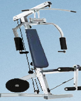 Economy II Home Gym - Plate Loaded