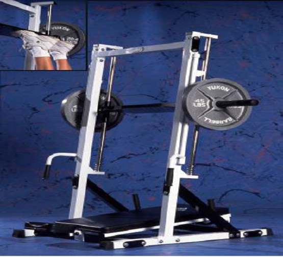 Vertical Leg press